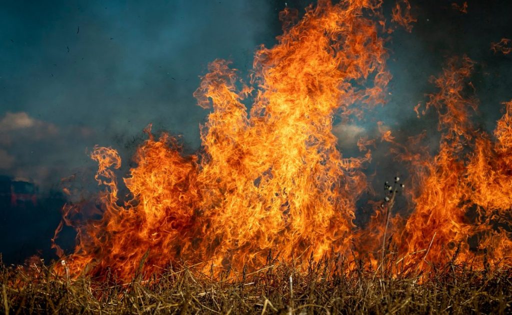 Incendio forestal Sierra de la Culebra