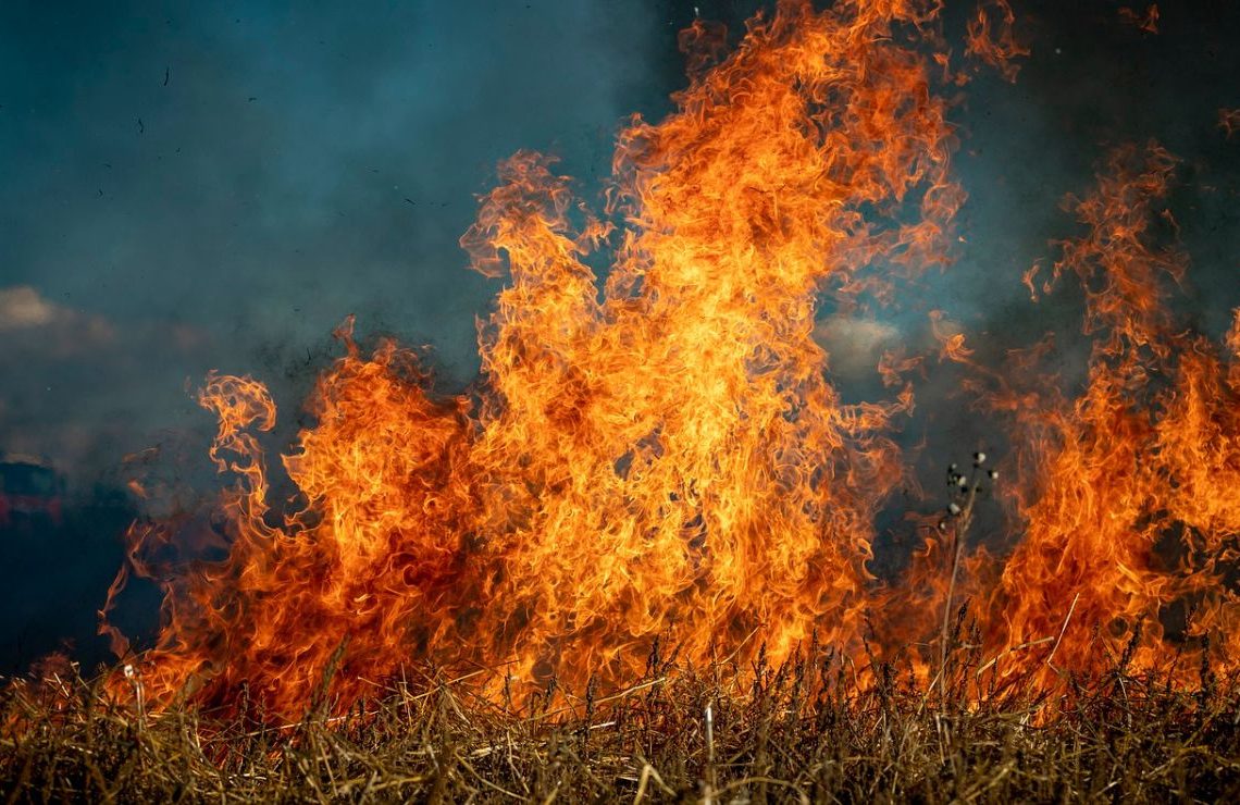 Incendio forestal Sierra de la Culebra