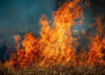 Incendio forestal Sierra de la Culebra