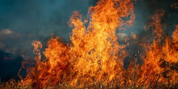 Incendio forestal Sierra de la Culebra