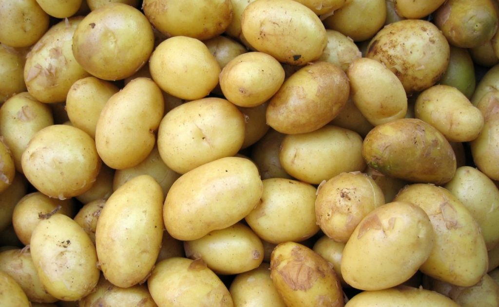 solanina es peligrosa en patatas