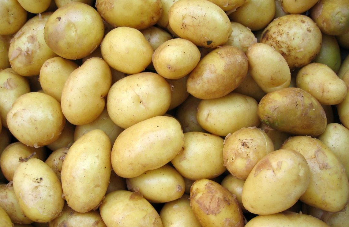 solanina es peligrosa en patatas