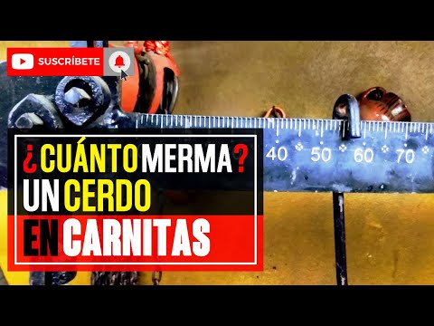 Precio del kilo de carne de cerdo en España